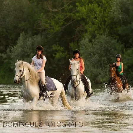 Complejo Oasis Sobre El Rio Huerta (Salamanca)