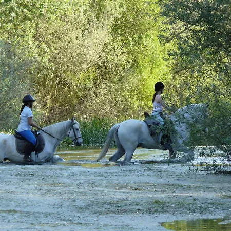 Complejo Oasis Sobre El Rio