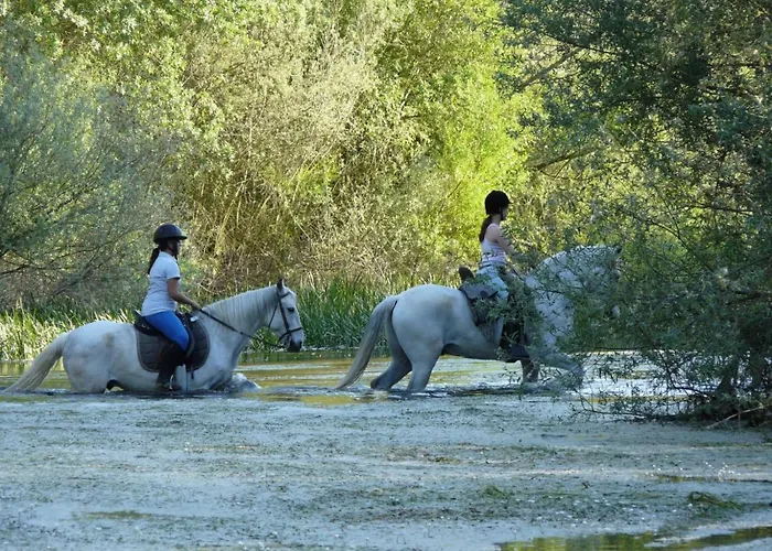 Complejo Oasis Sobre El Rio