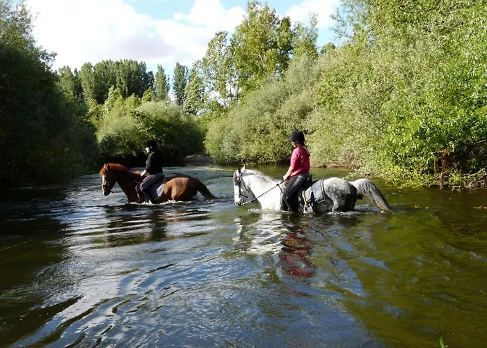 아파트 Complejo Oasis Sobre El Rio *