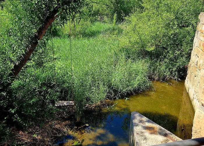 Complejo Oasis Sobre El Rio 아파트 Huerta (Salamanca)
